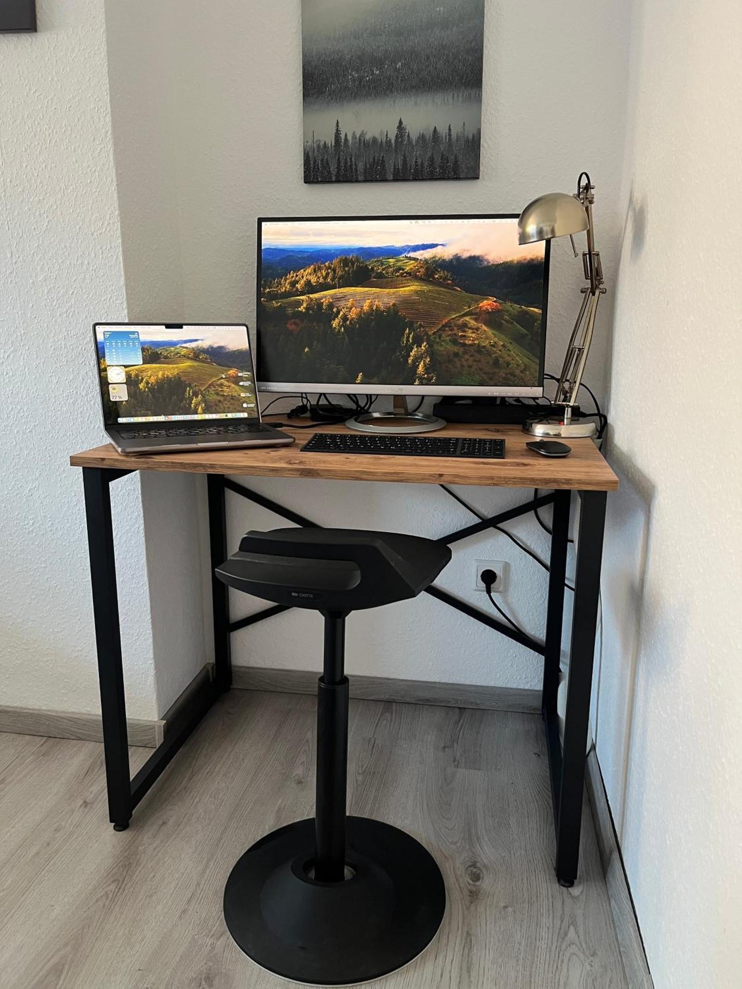 Ferienwohnung Voerde-Goetterswickerhamm-"Die Perle Am Niederrhein" Gotterswickerhamm Buitenkant foto