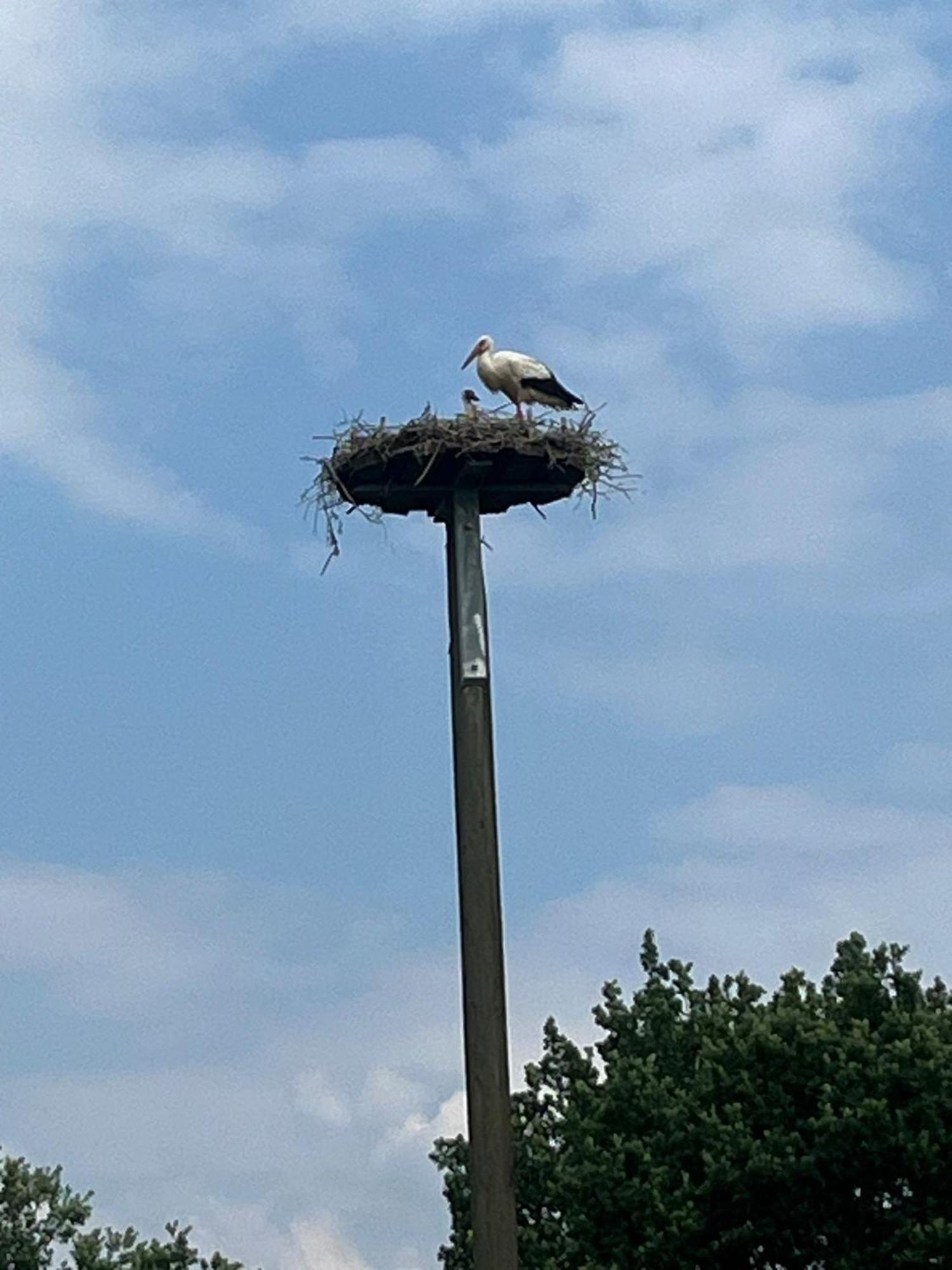 Ferienwohnung Voerde-Goetterswickerhamm-"Die Perle Am Niederrhein" Gotterswickerhamm Buitenkant foto